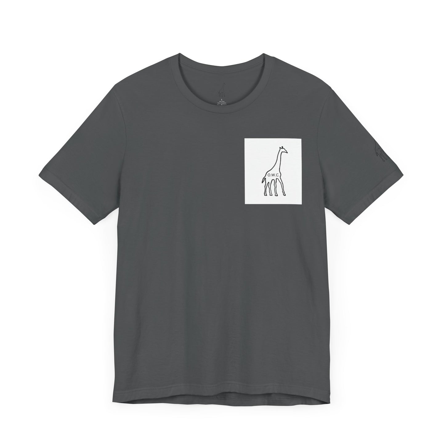 Unisex Jersey Short Sleeve Tee