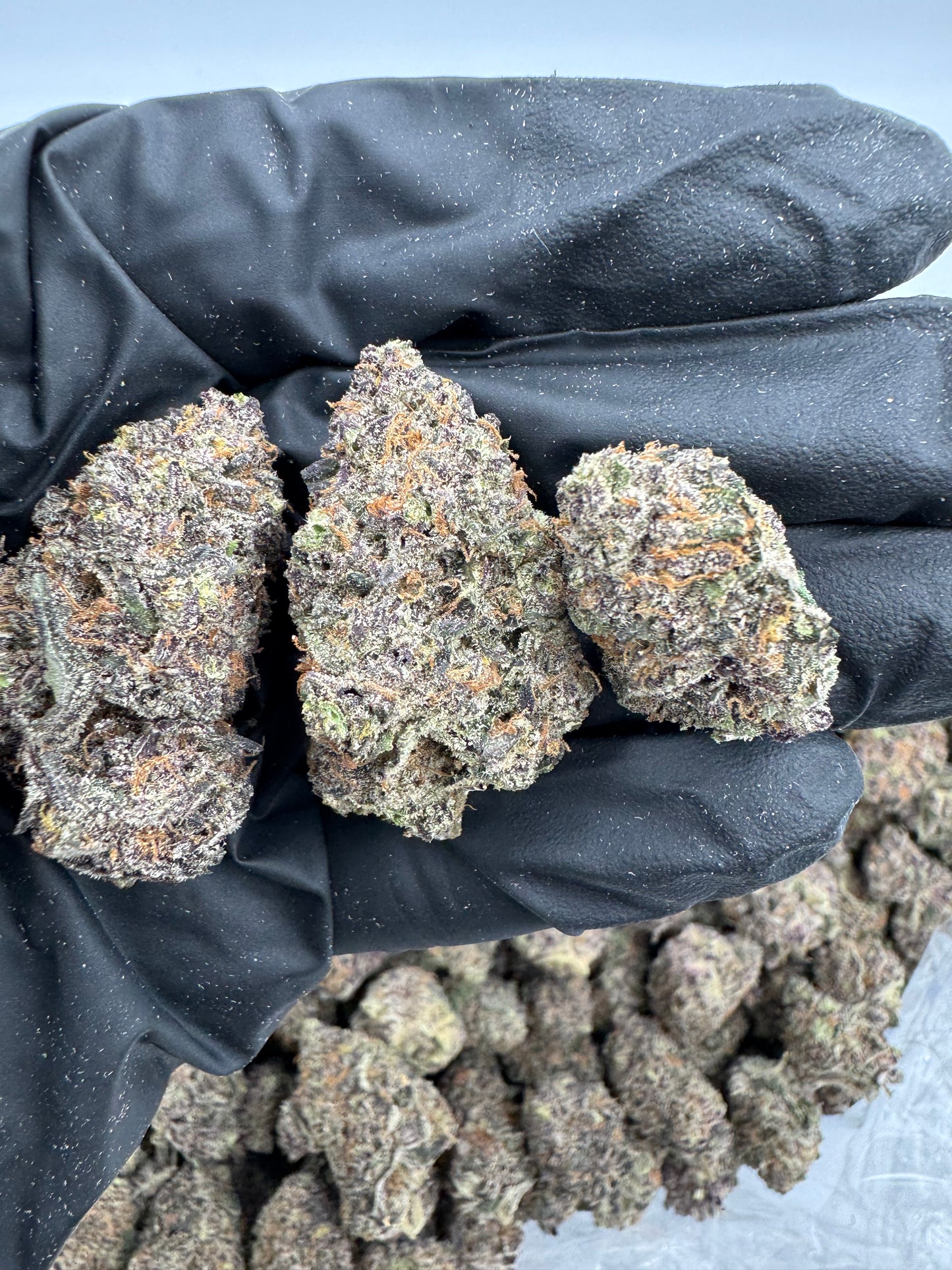 Purple Ice